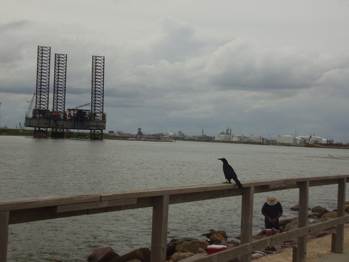 A bird checkin' fisherman's catch