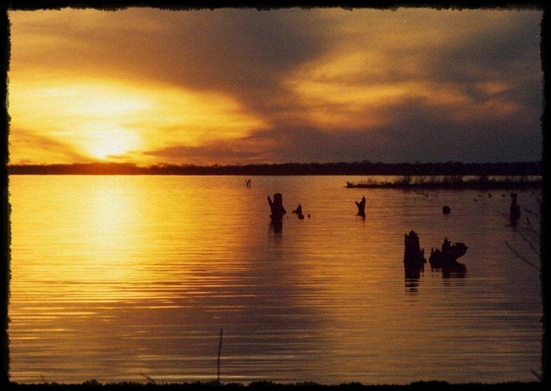 Best Richland Chambers Fishing Guide Texas Fishing Guides