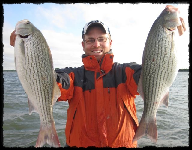 Fishing Guide Mitch Parker catching hybrid stripers on Richland Chambers