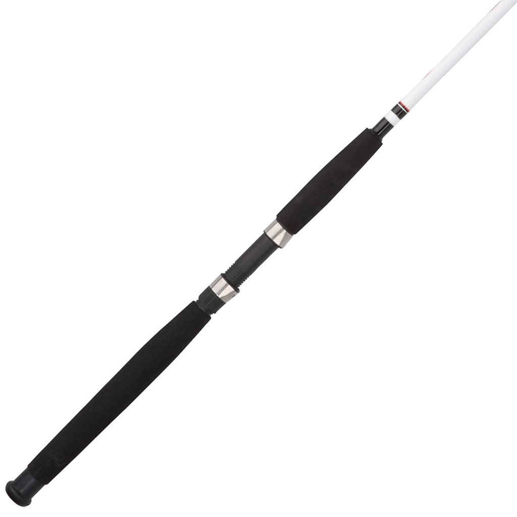 Review – Berkley Fishing Rods | Texas Fishing Guides