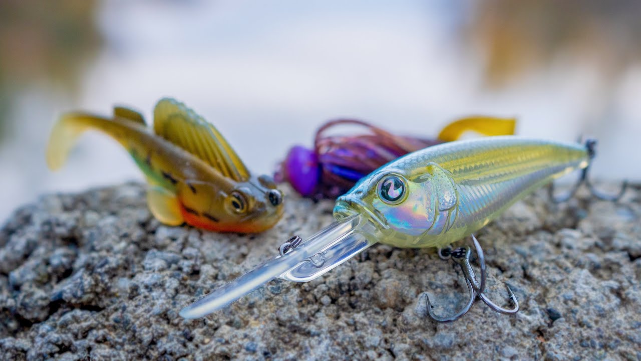 Productive Texas Winter Bass Fishing Techniques