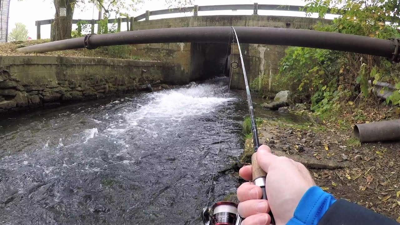 Trout Fishing Bait in Texas