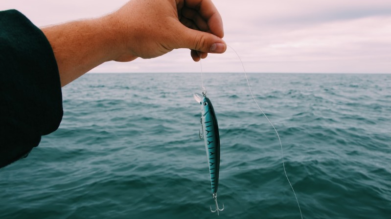 Best Bait fish For Deep Sea Fishing