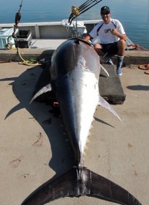 Nova Scotia - Bluefin Tuna