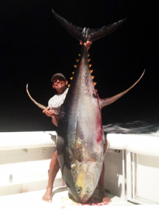 Puerto Vallarta, Mexico- Tuna