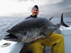 Tuna North Carolina