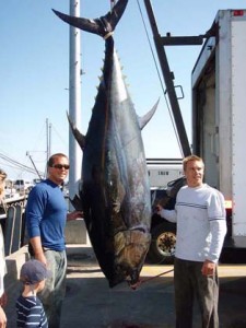 Tuna Massachusetts
