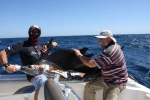 Sailfishing in Mozambique