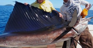 Sailfishing in Panama